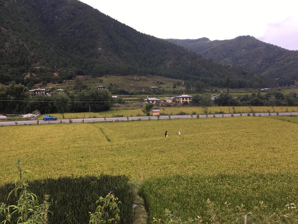 Ama'S Village Lodge พาโร ภายนอก รูปภาพ